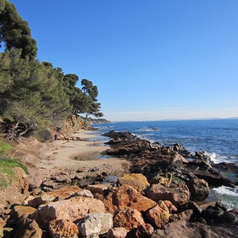Plage-des-pins-penches-à-Carqueiranne